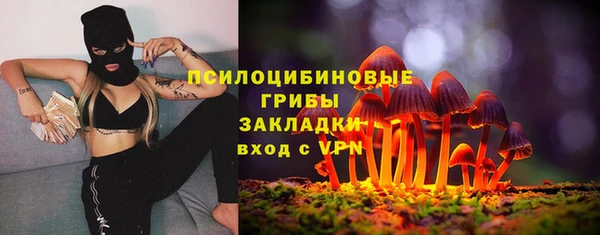 ALPHA-PVP Богородицк